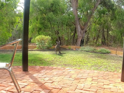 Yallingup Pet Friendly Bush Retreat - Foster Accommodation 5