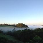 Montville House On The Hill - Foster Accommodation 0