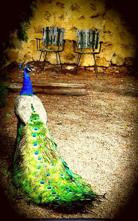 A La Folly - Foster Accommodation 4
