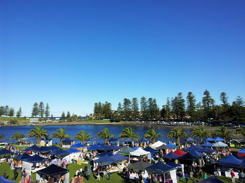 Bellevue Accommodation - Foster Accommodation 2