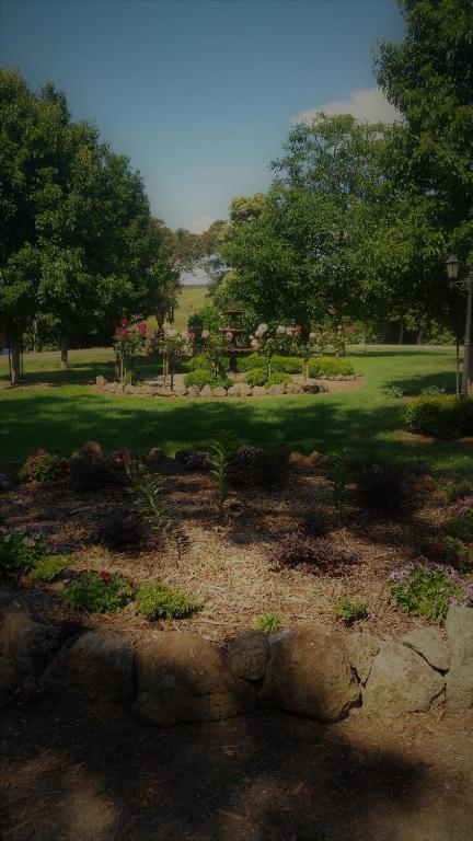 Manderley Park Farmstay B & B - Foster Accommodation 6