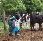 Manderley Park Farmstay B  B - Foster Accommodation