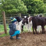 Manderley Park Farmstay B & B - Foster Accommodation 0