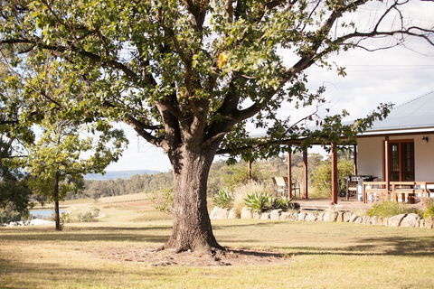 Audrey Wilkinson Vineyard - Foster Accommodation 2