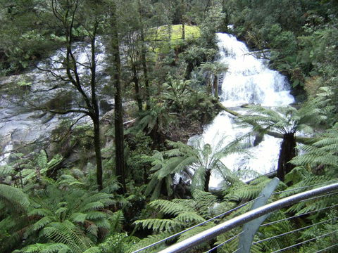 Arabella Country House - Foster Accommodation 6