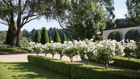 Lancemore Lindenderry Red Hill - Foster Accommodation 1