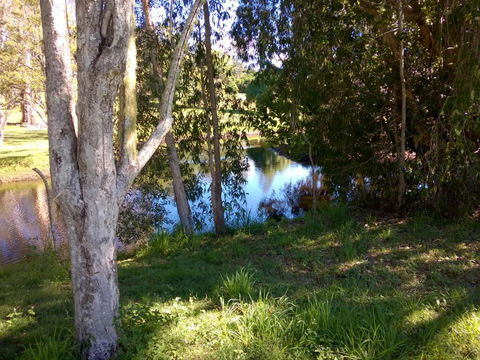 Eumundi Cottages Cottage 1 - Foster Accommodation 4