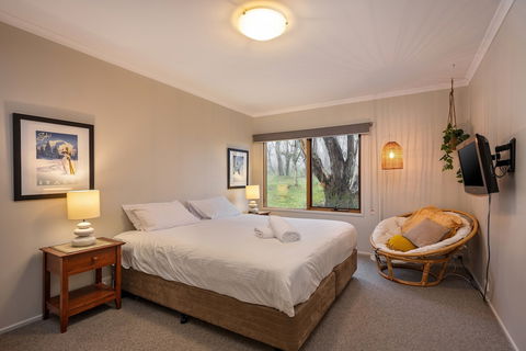 Absinthe - Foster Accommodation 5