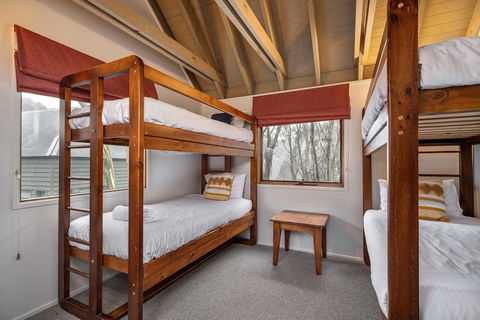 Absinthe - Foster Accommodation 1