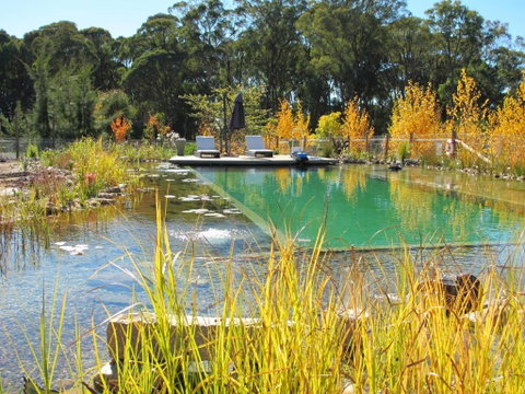 Planetrees Estate - Foster Accommodation 6
