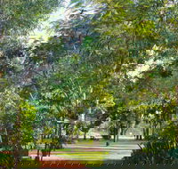 Banyan Tree Resort - Foster Accommodation