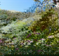 Copeland Manse - Foster Accommodation