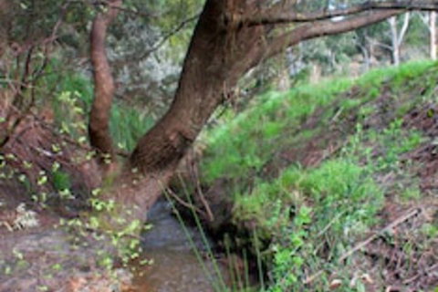 Longwood Retreat - Foster Accommodation 0