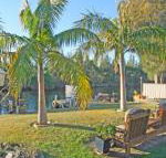 The Oasis on Jacobs Drive - Foster Accommodation
