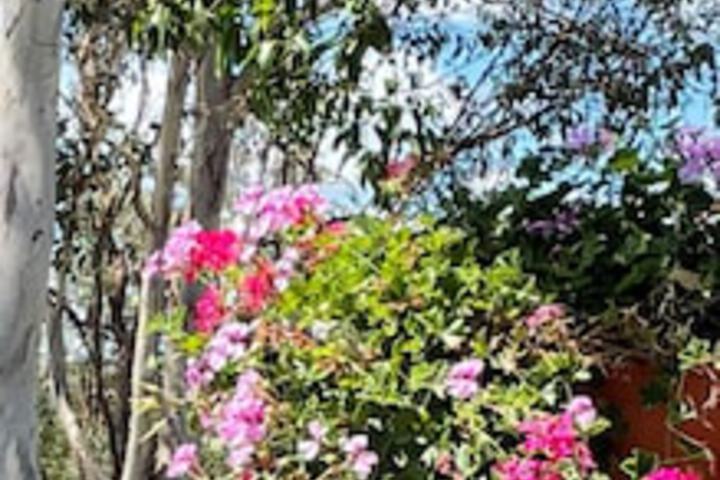 Anduramba QLD Foster Accommodation