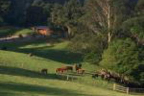 Amaroo Valley Springs - Foster Accommodation 0