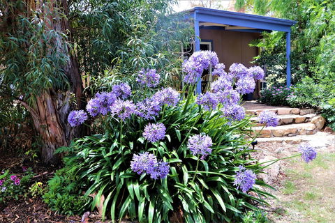 A Stanthorpe Getaway - Foster Accommodation 4