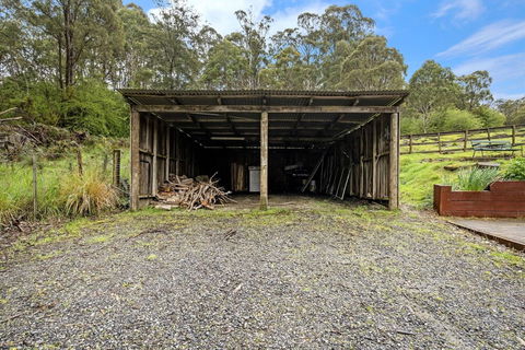 Mole Creek Cabins - Foster Accommodation 1