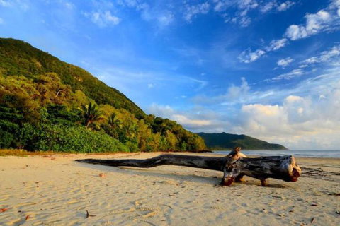 Daintree Rainforest Beach House - Foster Accommodation 7