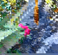 Chatelaine Valley Views - Foster Accommodation