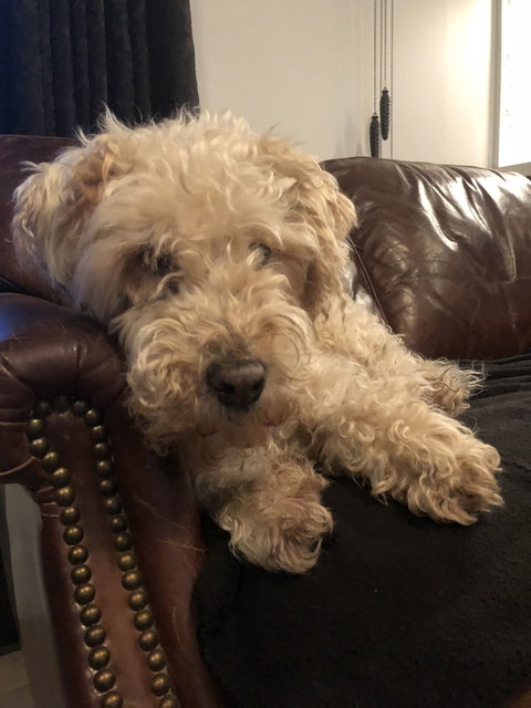 Leddicott Cottage - Foster Accommodation 1