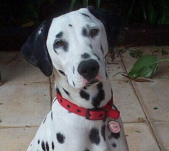 Tantarra Guest House - Foster Accommodation 1