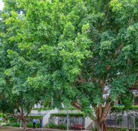 Theodore Apartments - Foster Accommodation