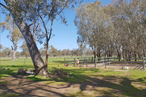 Jindera Park - Foster Accommodation 2