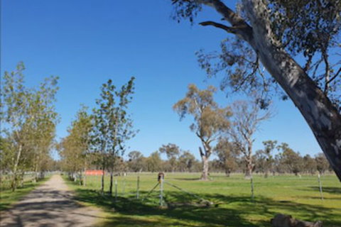 Jindera Park - Foster Accommodation 1