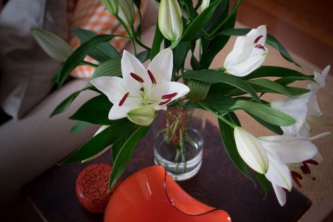 The Kinninmont House - Foster Accommodation 4