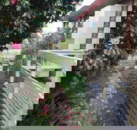 The Glen Family House - Foster Accommodation