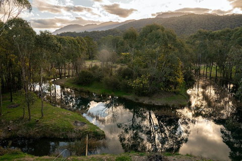 Dreaming Of The Buckland - Foster Accommodation 1