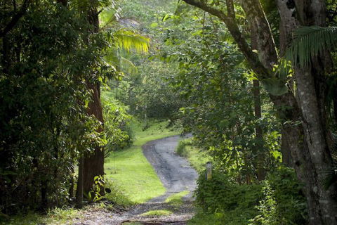 Nimbin Waterfall Retreat - Foster Accommodation 1