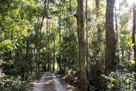 Rosewood Estate - Foster Accommodation 1