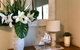 Lakeview Cottage - thumb 4