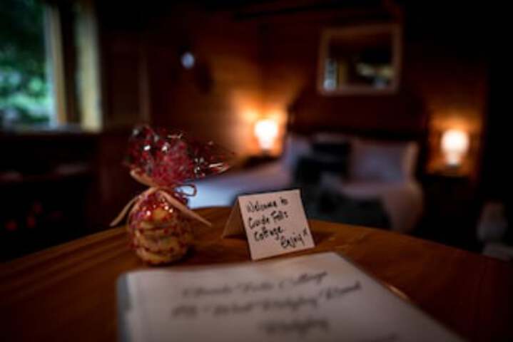  Foster Accommodation