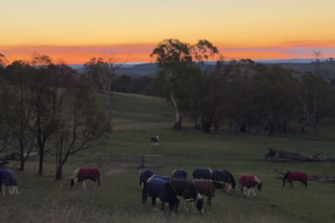 High Country Trail Rides & Farm Stay - Foster Accommodation 0