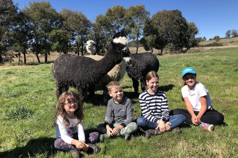 High Country Trail Rides & Farm Stay - Foster Accommodation 3