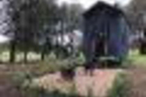 Willandra Tiny House - Foster Accommodation 5