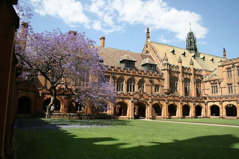 A Walk To Syd Uni & RPA Hospital - Foster Accommodation 0