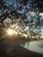 Book Sapphire Beach Accommodation Vacations Foster Accommodation Foster Accommodation