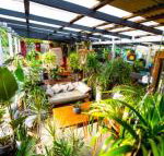 Jaspers Apartments - Foster Accommodation