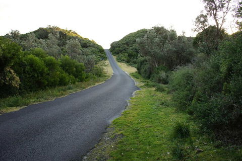 Venus Escapes Guesthouse - Foster Accommodation 2