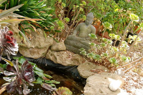 South Beach Haven - Foster Accommodation 1