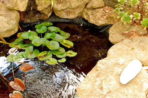 South Beach Haven - Foster Accommodation 4