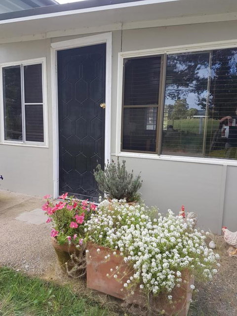 Happy Pig Farm - Foster Accommodation 2