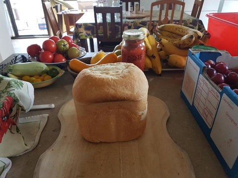 Happy Pig Farm - Foster Accommodation 3