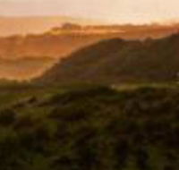 Mures Cloudy Bay Retreat - Foster Accommodation