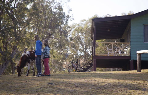 Bestbrook Mountain Resort - Foster Accommodation 4