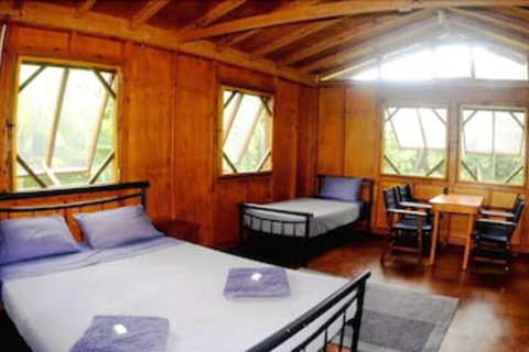 Daintree Rainforest Bungalows - Foster Accommodation 5